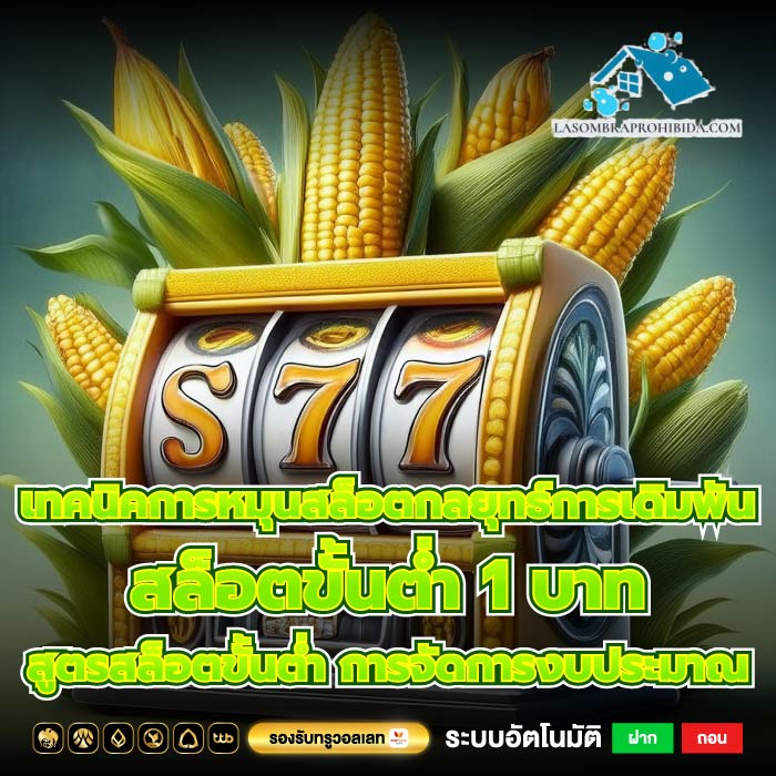 เทคนิคการหมุนสล็อตกลยุทธ์การเดิมพันสล็อตขั้นต่ำ 1 บาทสูตรสล็อตขั้นต่ำ การจัดการงบประมาณ
